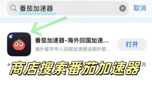 Malus VPN好用吗？和艾果VPN对比哪个回国效果更好？海外党选加速器必看的真实体验